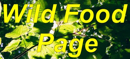 Wild Food Page